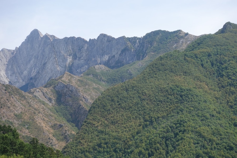 Vista sulle Apuane