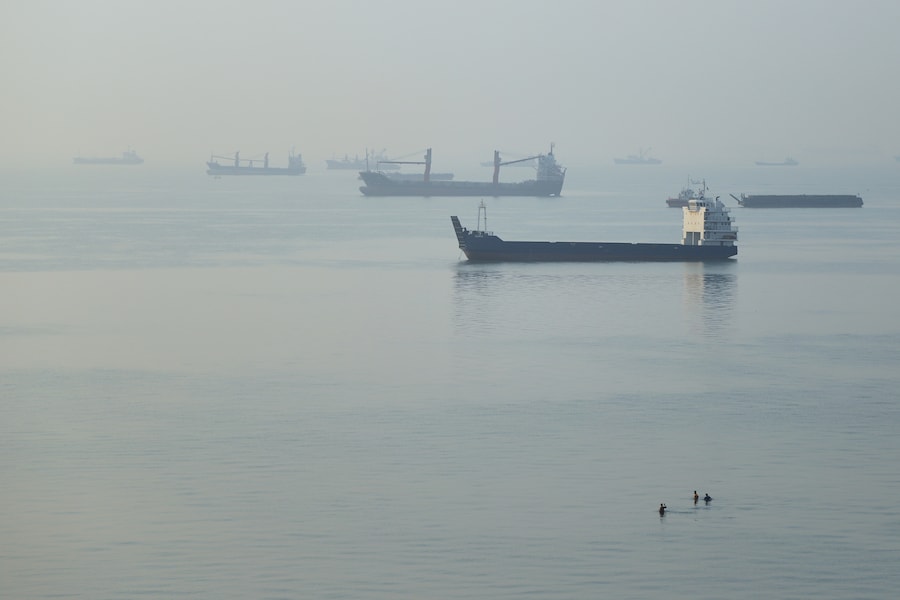 Alcune persone camminano nell’acqua mentre alcune navi mercantili sono ancorate nello Stretto di Ormuz al largo di Bandar Abbas, in Iran. (APN)