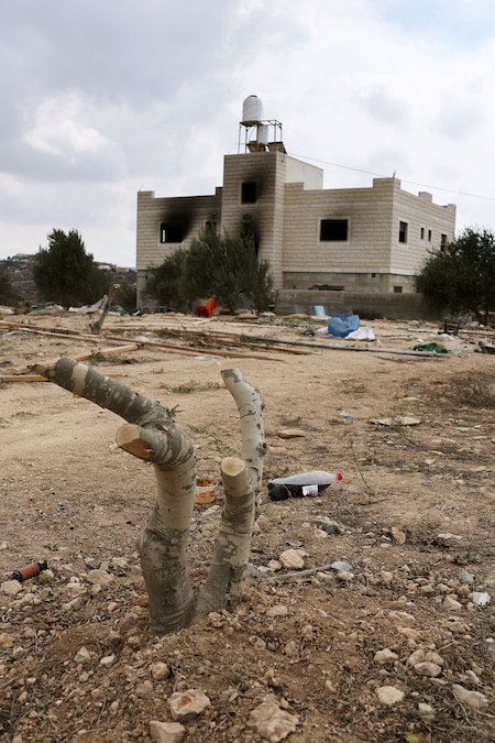 Un albero abbattuto e detriti nella proprietà dei palestinesi Mahmod Tubasi, 60 anni, e di sua moglie Aedah, 51 anni, che sostengono sia stata attaccata dai coloni israeliani, a Jalud, nella Cisgiordania occupata da Israele, il 29 settembre 2026. REUTERS/Ammar Awad (REUTERS)