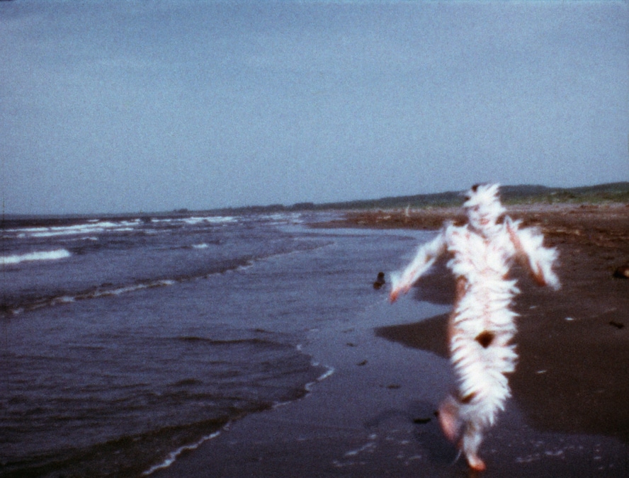 Ana Mendieta, Bird Run 1974. © The Estate of Ana Mendieta Collection, LLC. Licensed by Artist Rights Society (ARS), New York / DACS, 2026 / Courtesy Marian Goodman Gallery and Alison Jacques, London