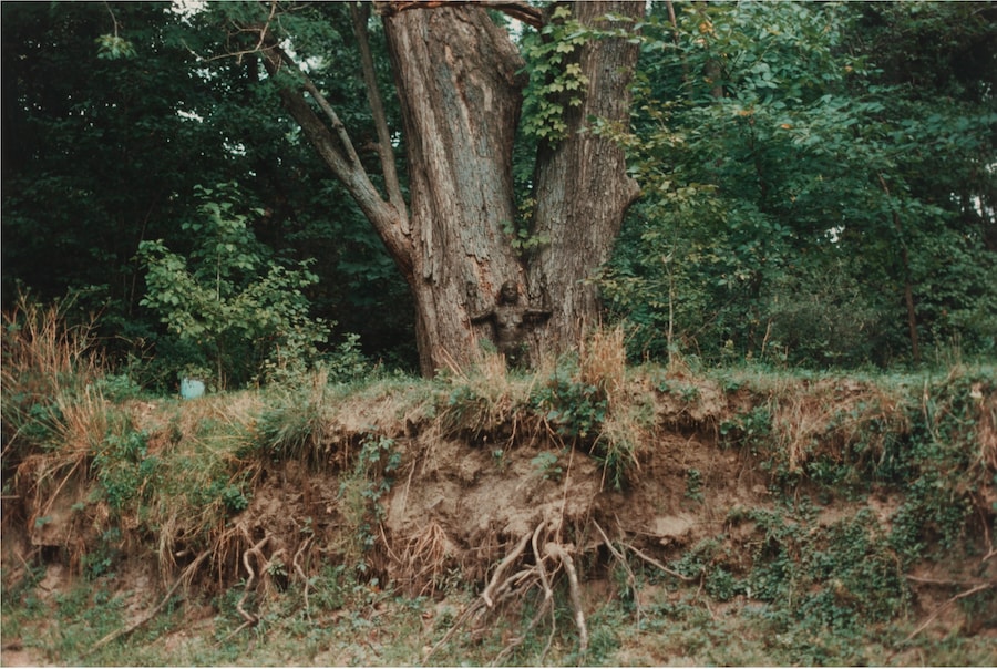 Ana Mendieta, Untitled: Silueta Series 1976 © The Estate of Ana Mendieta Collection, LLC. Licensed by Artist Rights Society (ARS), New York / DACS, 2026 / Courtesy Marian Goodman Gallery and Alison Jacques, London