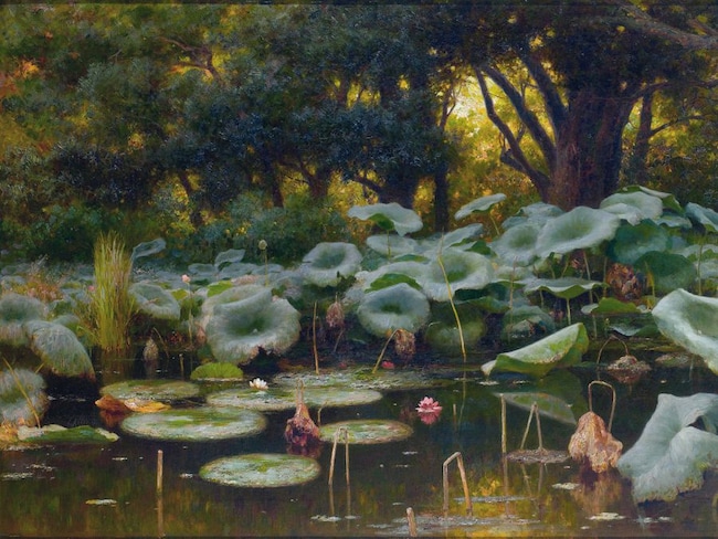 Vanitas, fiori come simboli in mostra a Ferrara
