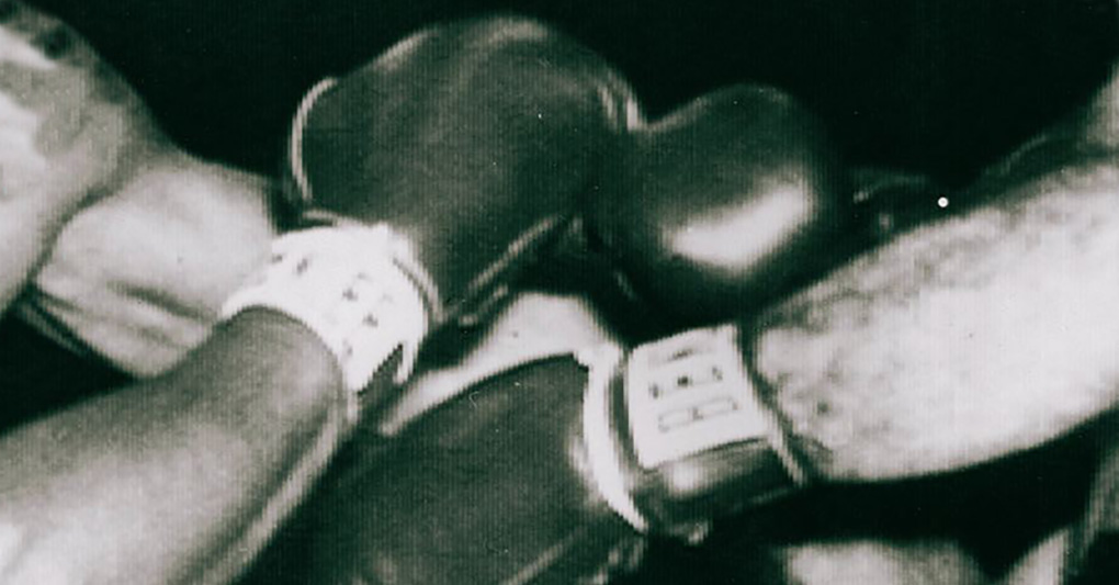 Chuck Wepner - dal ring e al red carpet Chuck Wepner - dal ring e al red carpet