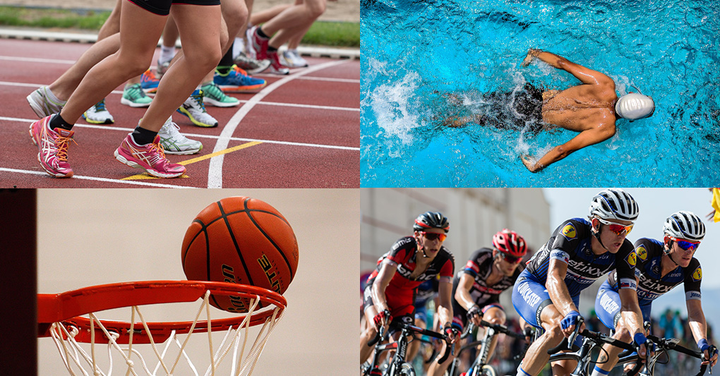 Un anno di sport - Le altre discipline