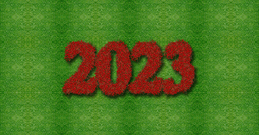 Il 2023 delle piante episode artwork