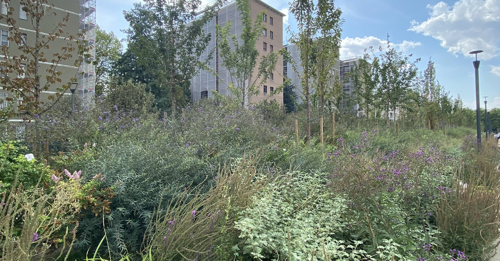 Il giardino segreto