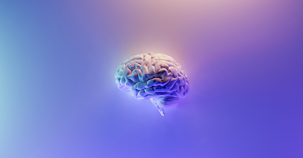Modello 3D del cervello - Ma tu chi sei