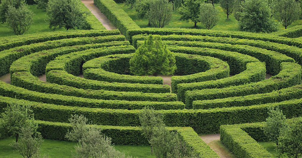 Labirinti vegetali, i giardini del mistero episode artwork