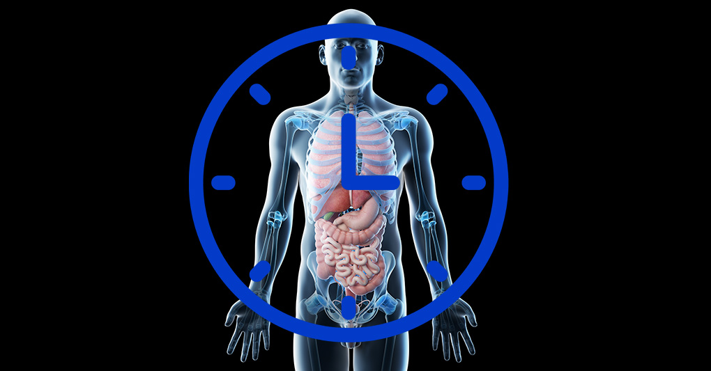 Sincronizziamo l’organismo: consigli per recuperare il ritmo