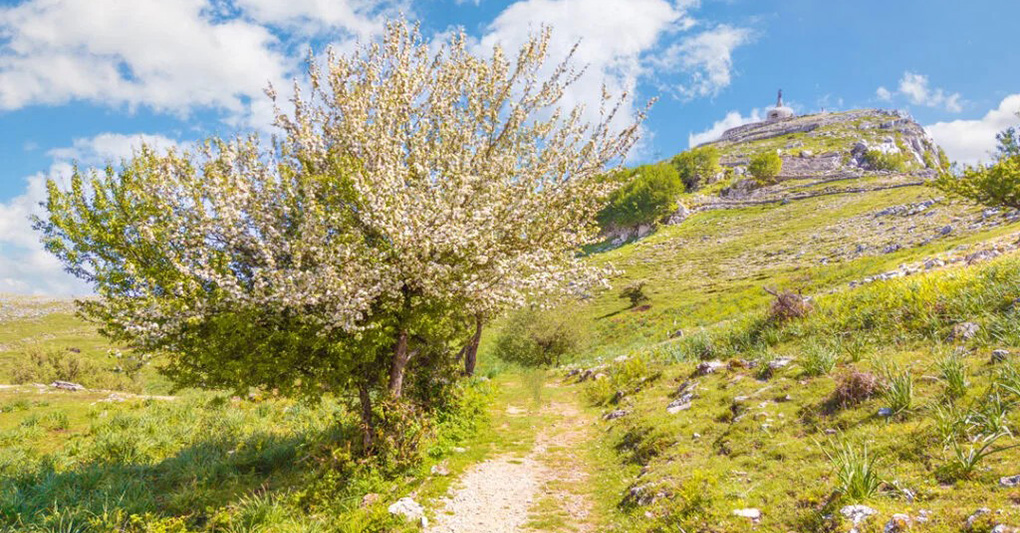 Grand tour - A passo libero