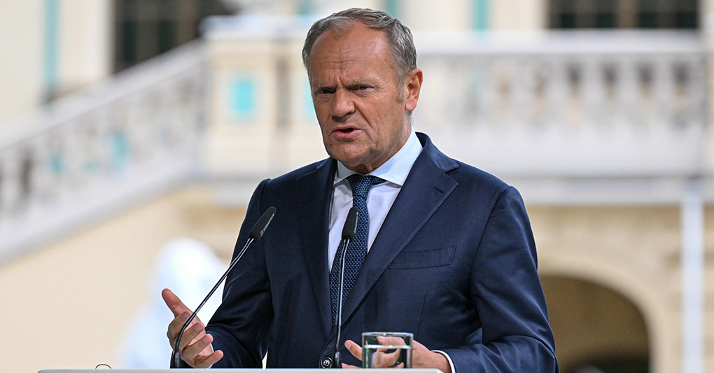 Allerta Bravo sul voto in Polonia. L'estrema destra di Confederacia può essere decisiva