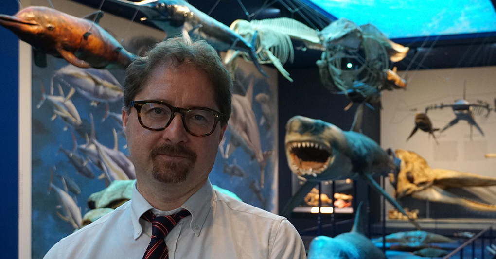 Luca e quella traccia speciale firmata papà Luca e quella traccia speciale firmata papà