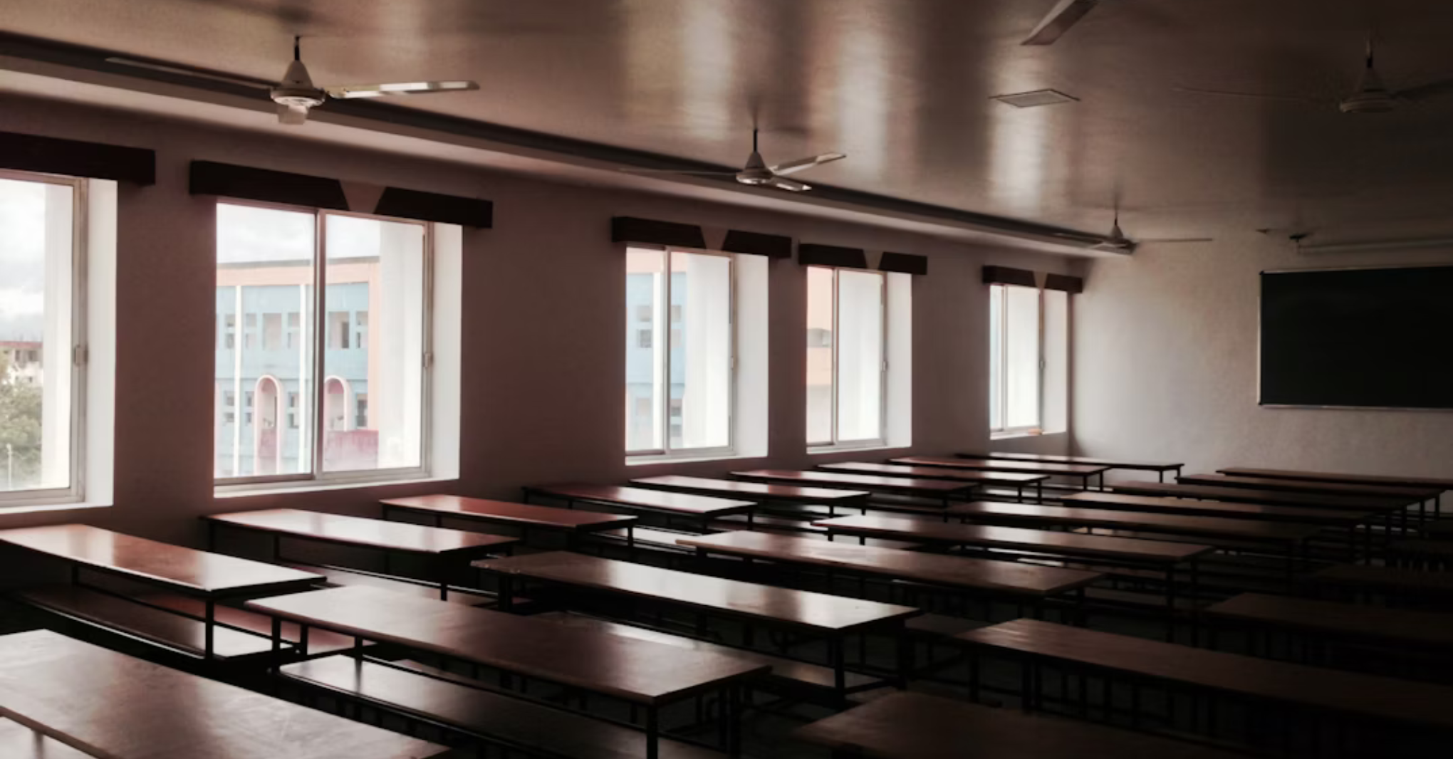 Maturità e partita IVA: la storia di Leonardo Maturità e partita IVA: la storia di Leonardo