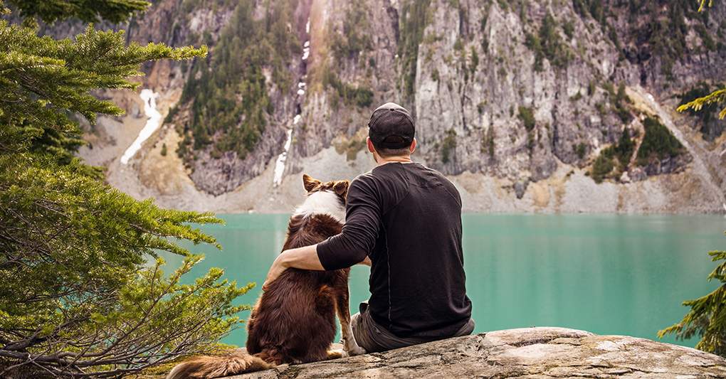Il corpo che parla: il linguaggio silenzioso degli animali