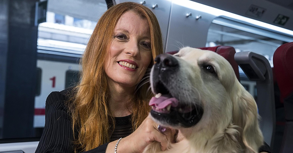 Legge Brambilla: una tutela sicura per gli animali