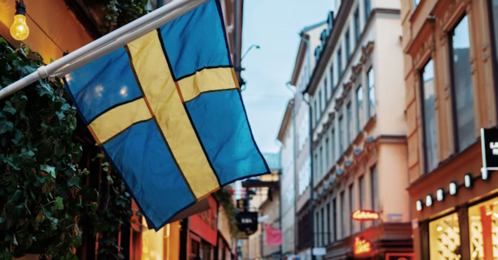 Una Carriera da Imprenditore in Svezia