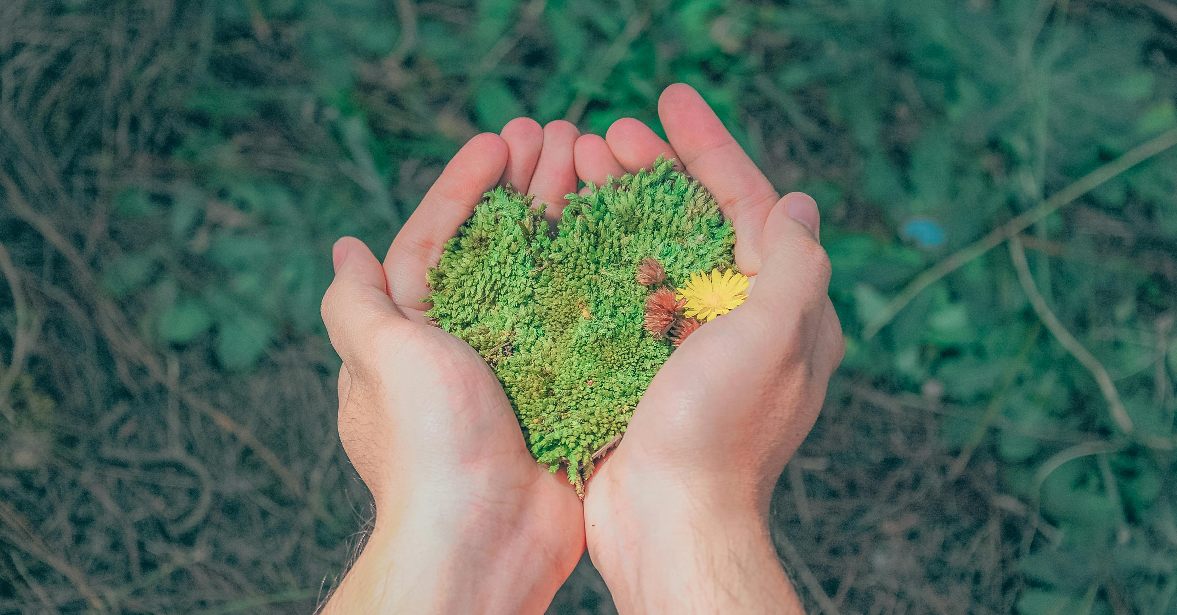 Please In My BackYard - I premi Pimby 2025