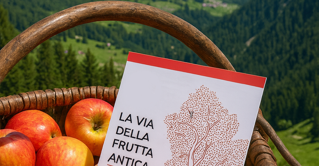 Trentino-Alto Adige: dalla Via della Frutta Antica alla riscoperta Cammino di San Rocco episode artwork