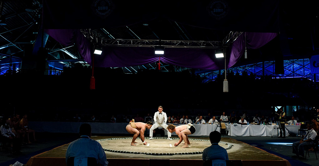 Cogito ergo... Sumo! Cogito ergo... Sumo!