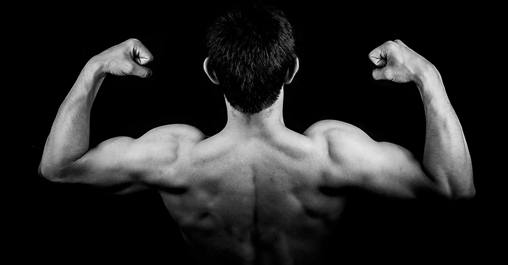 Muscoli e forza: non solo questione di forma 
