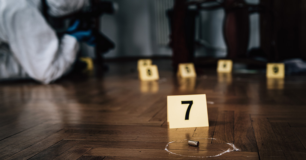 La morbosità intorno a Garlasco e altri delitti La morbosità intorno a Garlasco e altri delitti