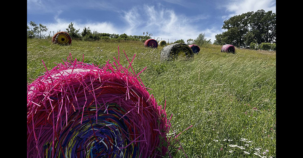 Piemonte: tra natura, arte e paesaggio episode artwork