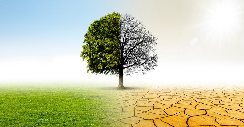 Il libro del clima, dieci anni dopo Parigi