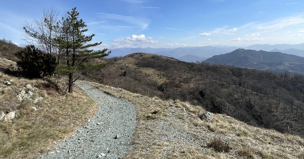 Liguria: dal Cammino dei Santuari del Mare al Trail del Ciapà episode artwork