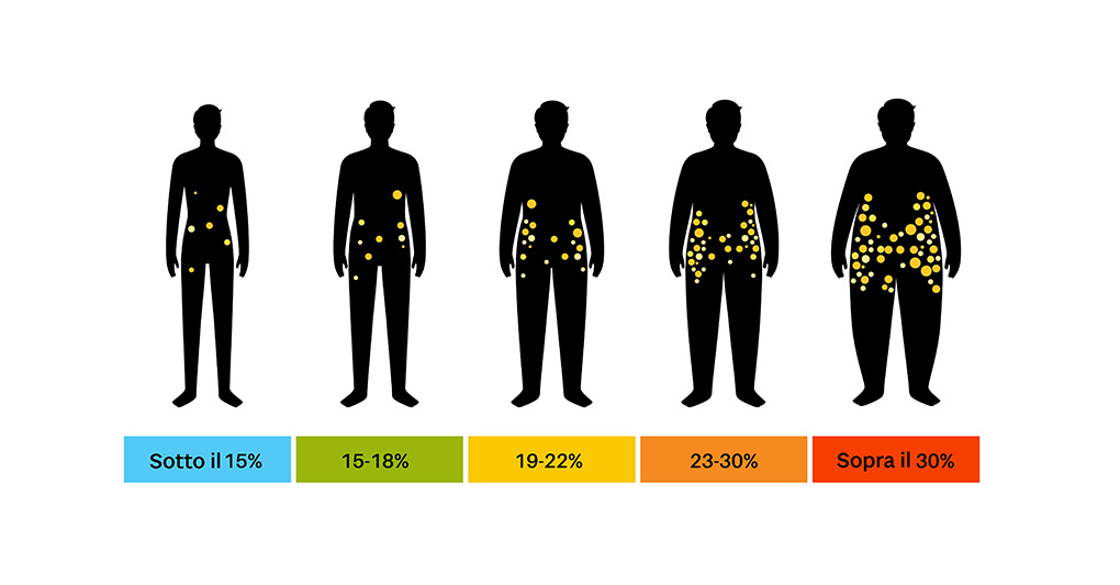 Composizione corporea: massa grassa e massa magra