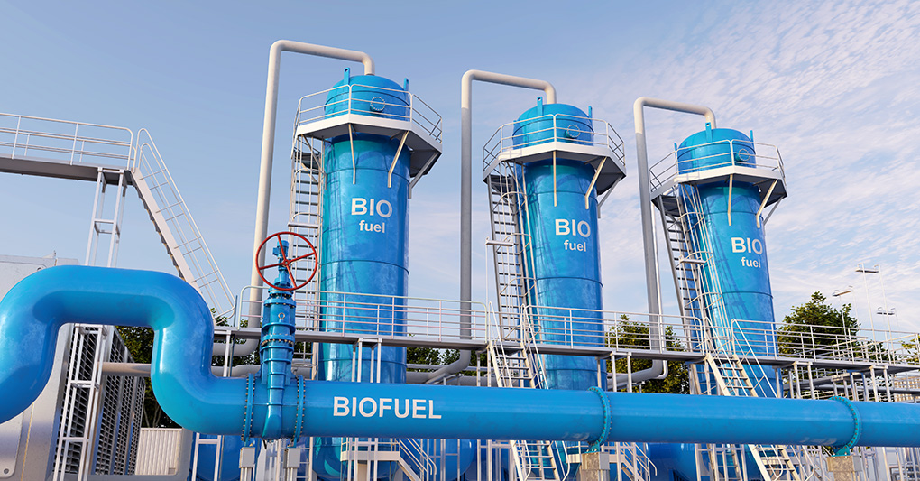 Il biodiesel e la transizione energetica dei trasporti