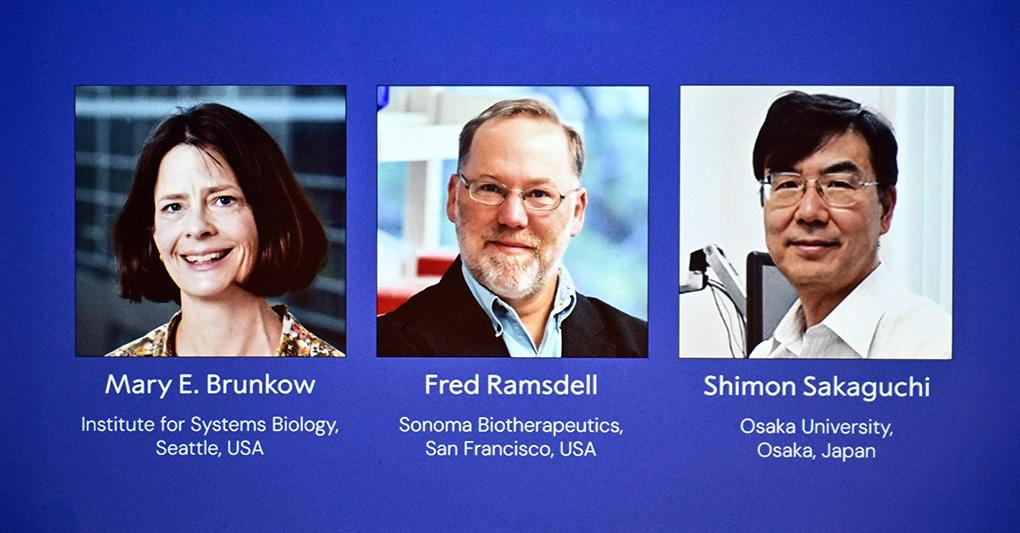 Nobel medicina 2025 a Brunkow, Ramsdell e Sakaguchi