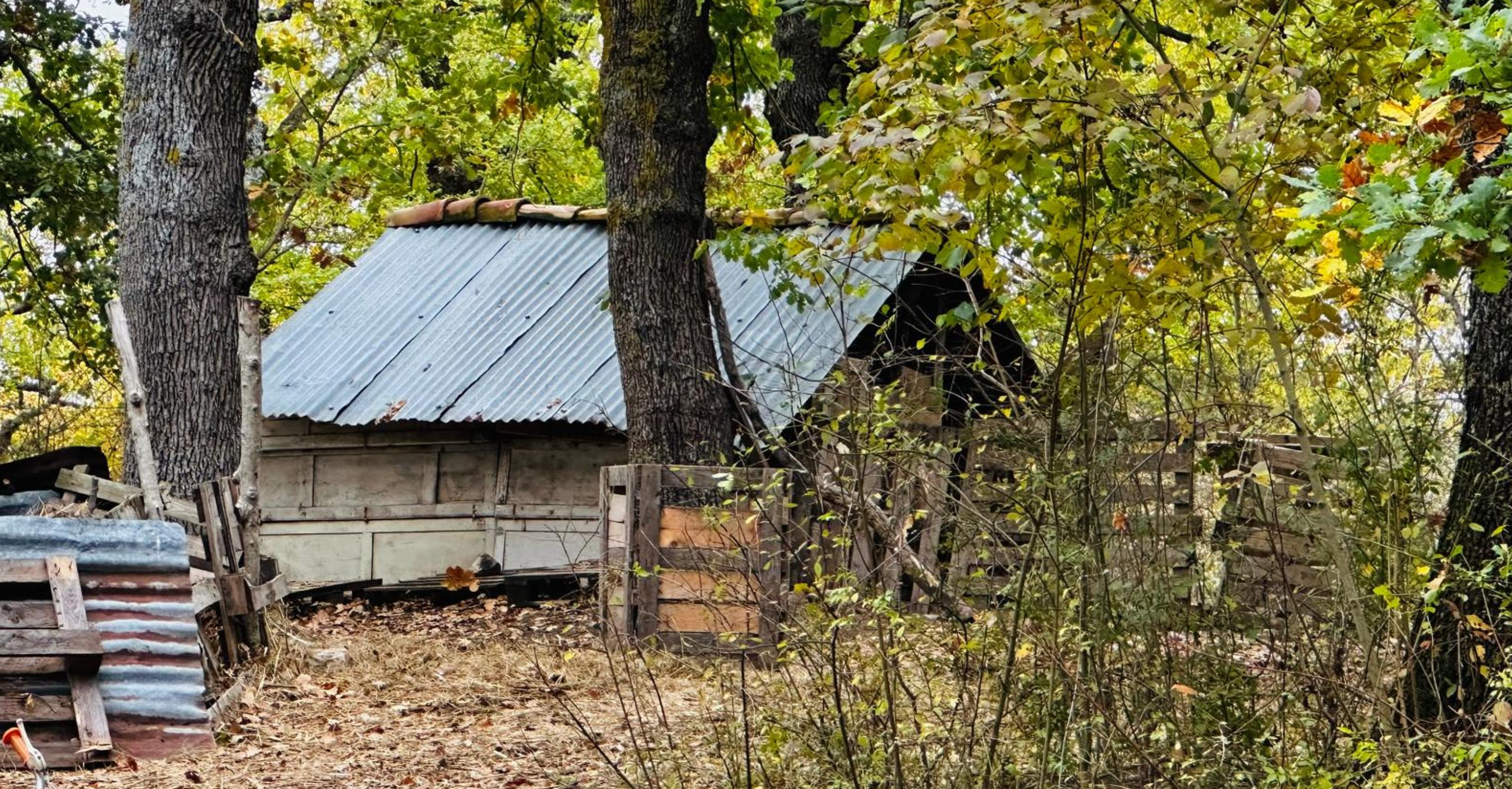 La famiglia nel bosco