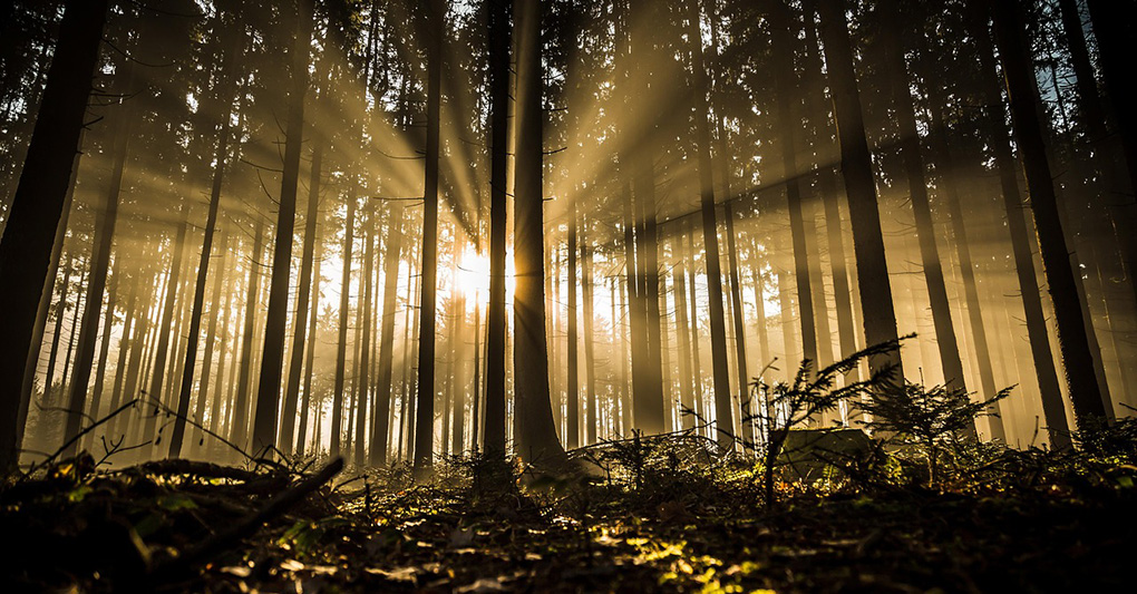 Puntata del 21/11/2025