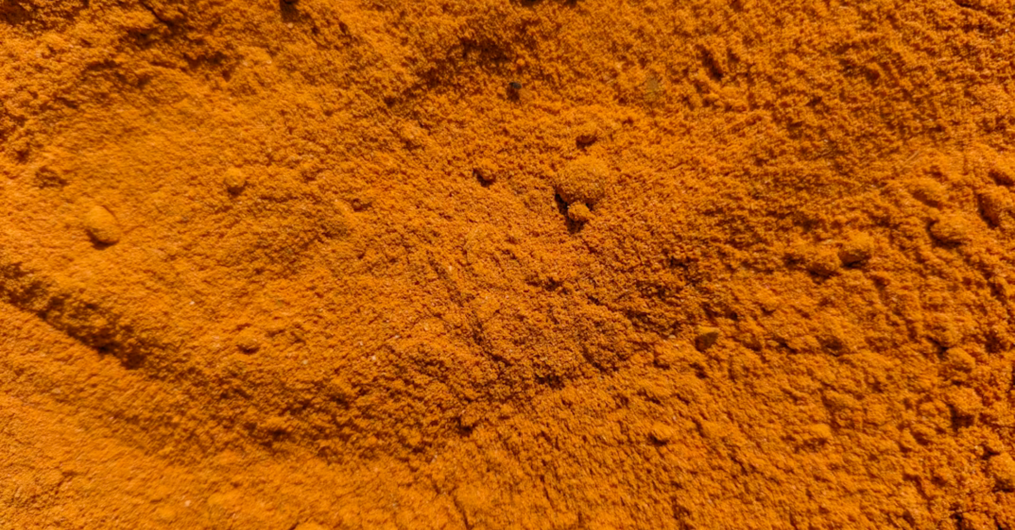 Curcuma, l'oro della terra: tra tradizione e scienza