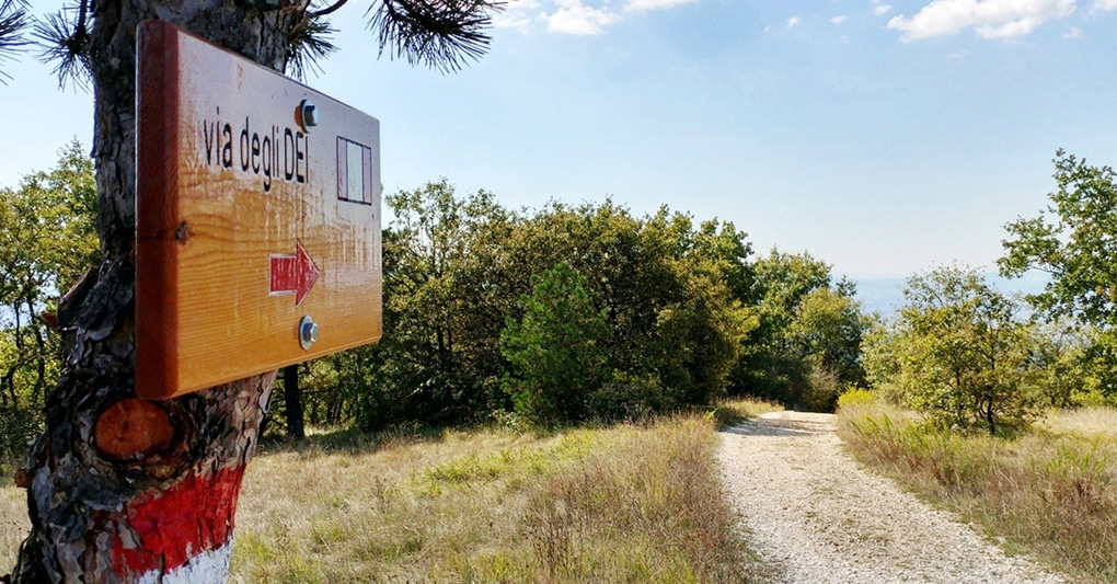 Emilia Romagna: dalla Via degli Dei ai Sentieri del Rubicone episode artwork