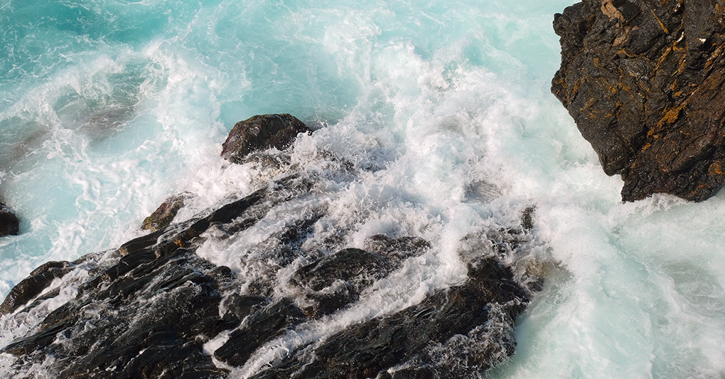 Non ti ho potuto salvare