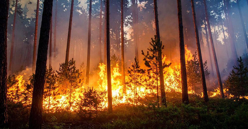 Non scherzare col fuoco