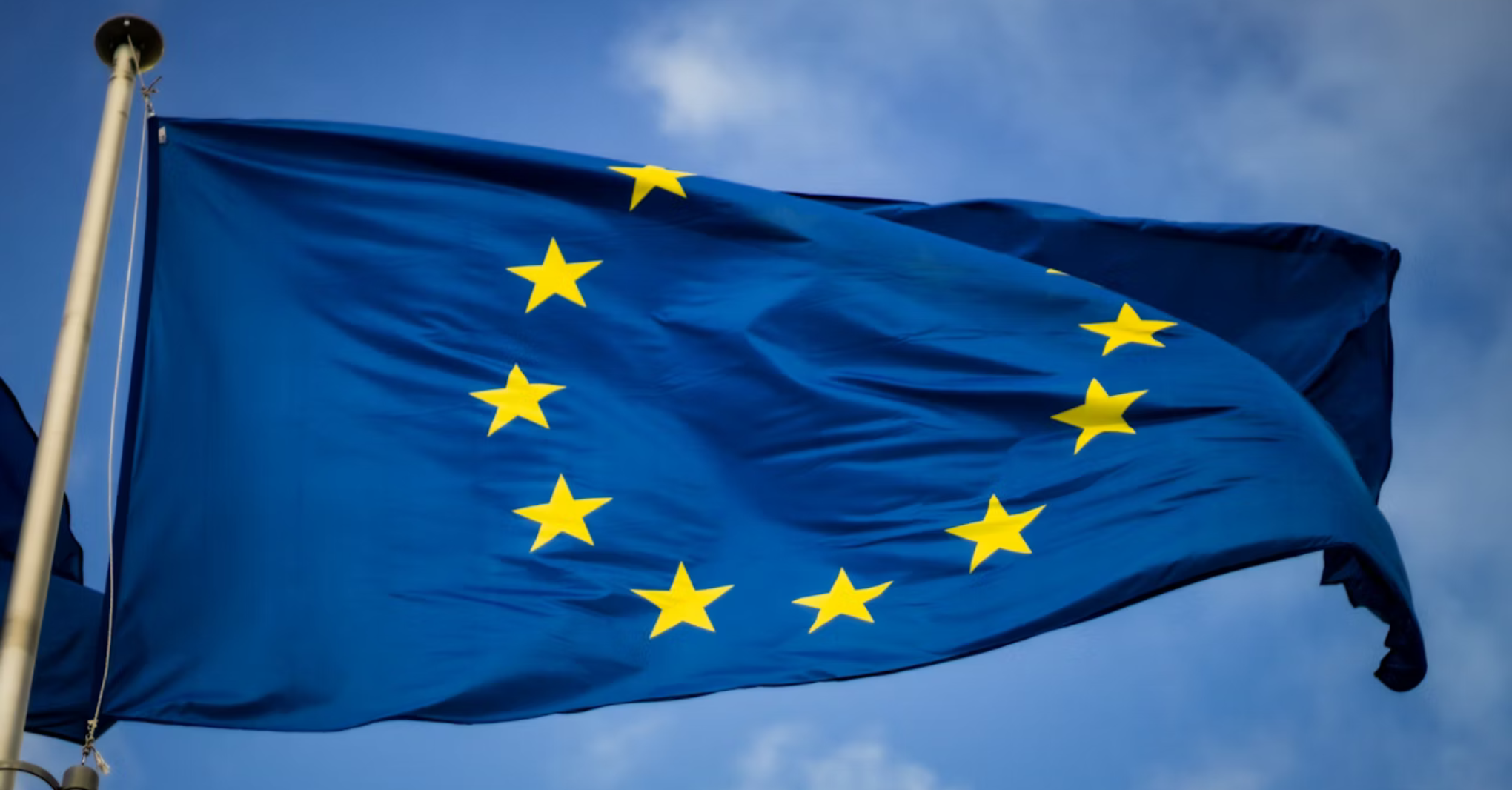 Sfida all'Europa. La partecipazione salverà l'Unione? - di Gigi Donelli e Giulia Cannizzaro 