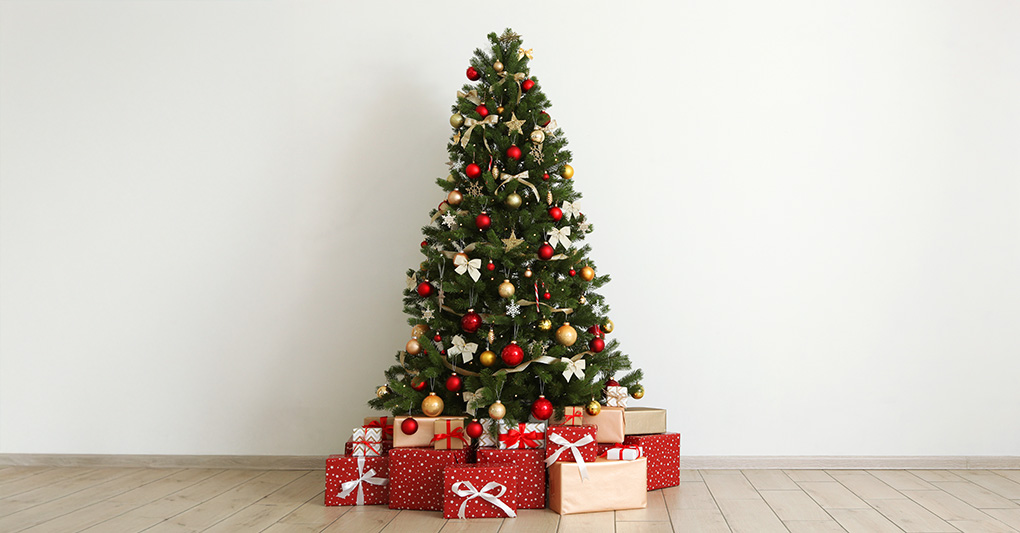 Il giocattolo negato