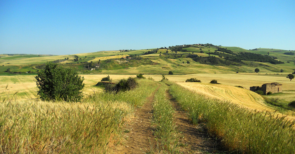 Abruzzo: Via del Tratturo e trekking invernali in Maiella episode artwork