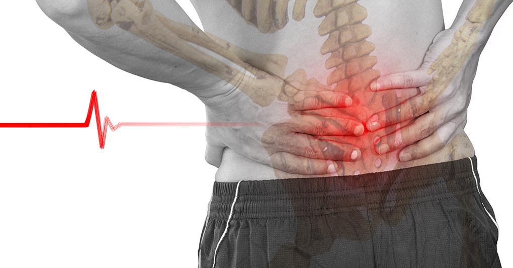 Il benessere della schiena