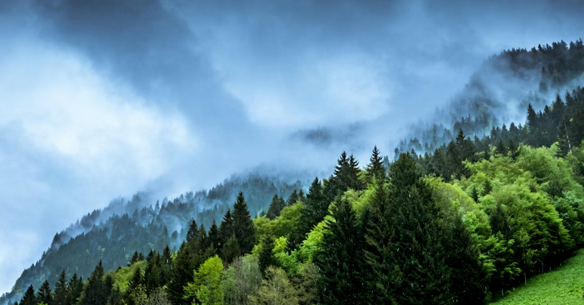 Clima e sostenibilità, vince chi innova