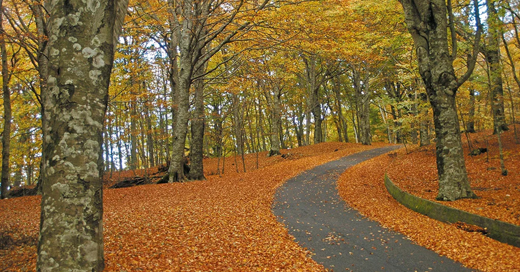 Grand tour - A ruota libera