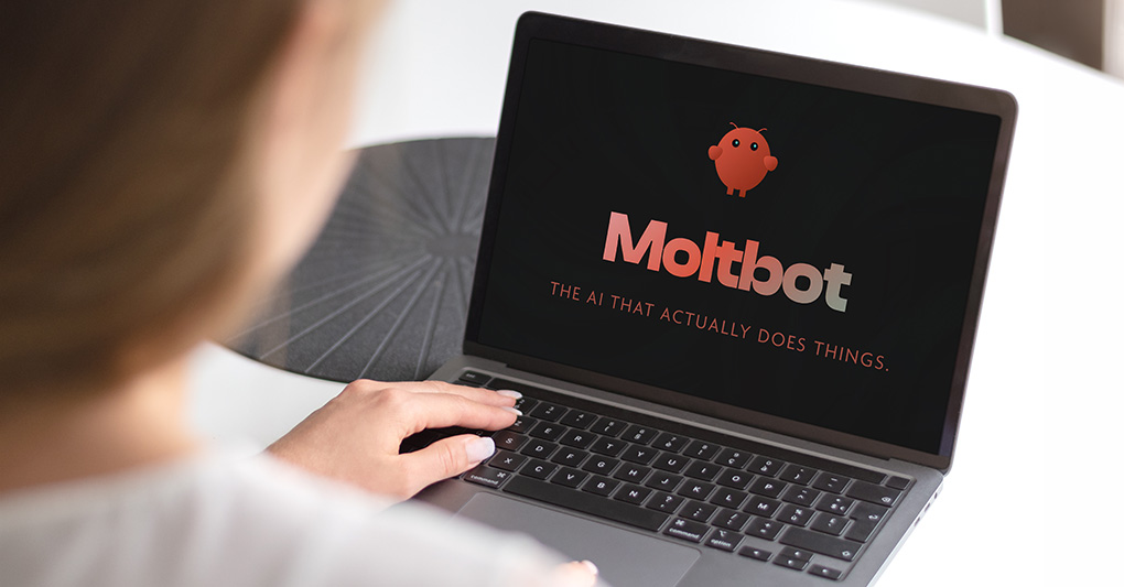 Moltbot - TikTok USA - AI e security