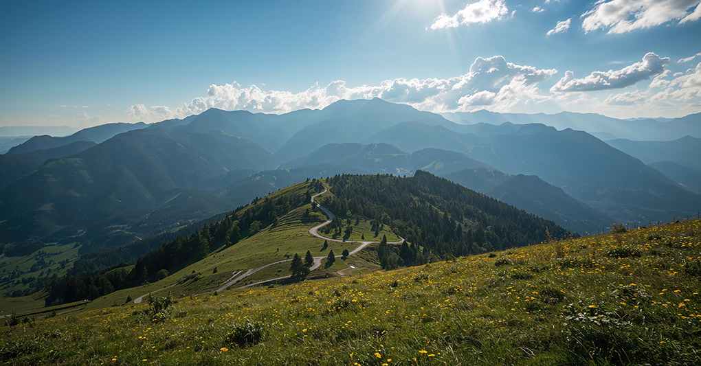 Veneto: Vicenza e dintorni, a passo lento episode artwork