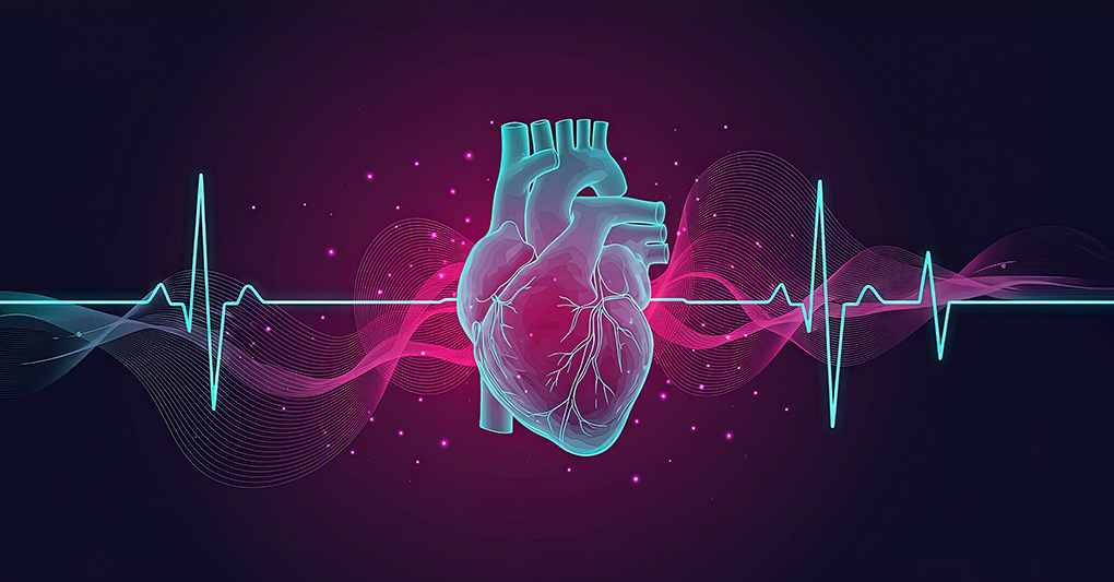 Il battito del cuore: prevenzione e benessere cardiovascolare