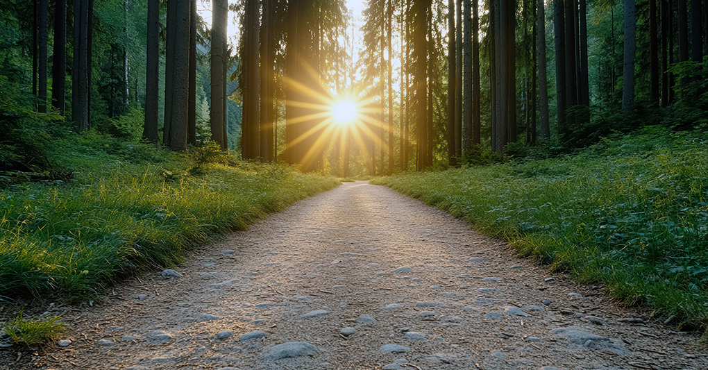 Puntata del 15/02/2026