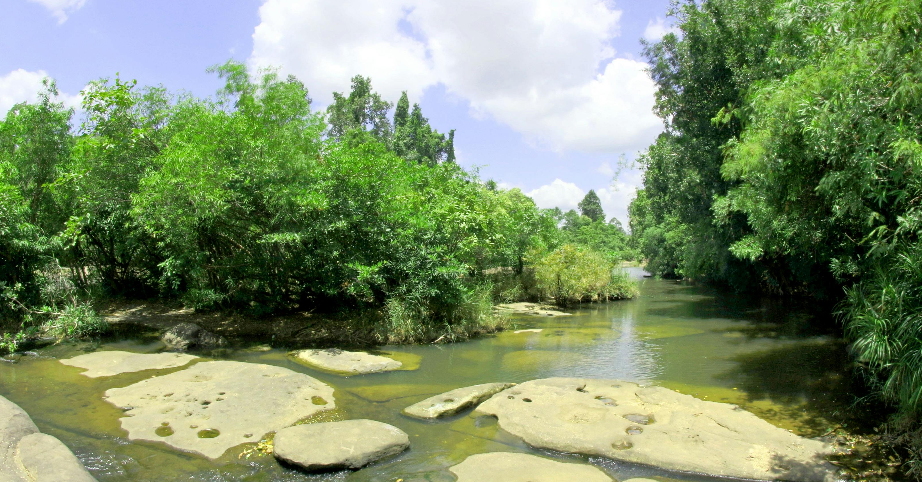 Controcorrente - Come stanno i nostri Fiumi
