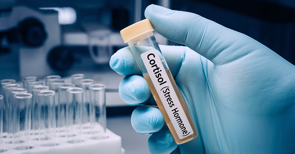 Cortisolo: come tenerlo in equilibrio già dal mattino 