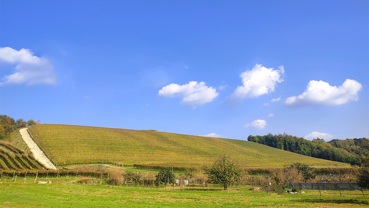 Piemonte: a passo lento, tra le Colline Novaresi e l'arte diffusa di Camo episode artwork